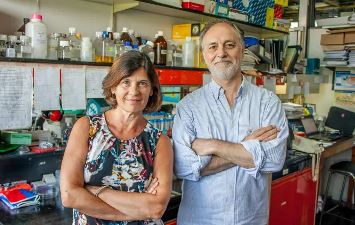 Los doctores Eduardo Castaño y Laura Morelli, investigadores de la Fundación Instituto Leloir.