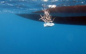 Pescadores e investigadores, juntos para proteger los fondos marinos