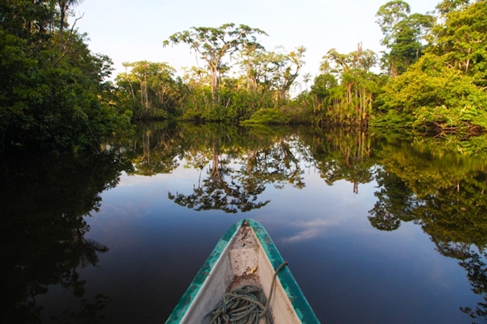 Ecuador, Destino Verde Líder del Mundo por sexto año consecutivo