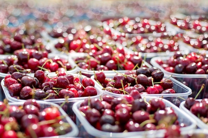Con la cereza electrónica, el INTA quiere preservar la calidad del fruto