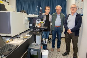 Un estudio prueba la naturaleza mecánica tridimensional del grafeno