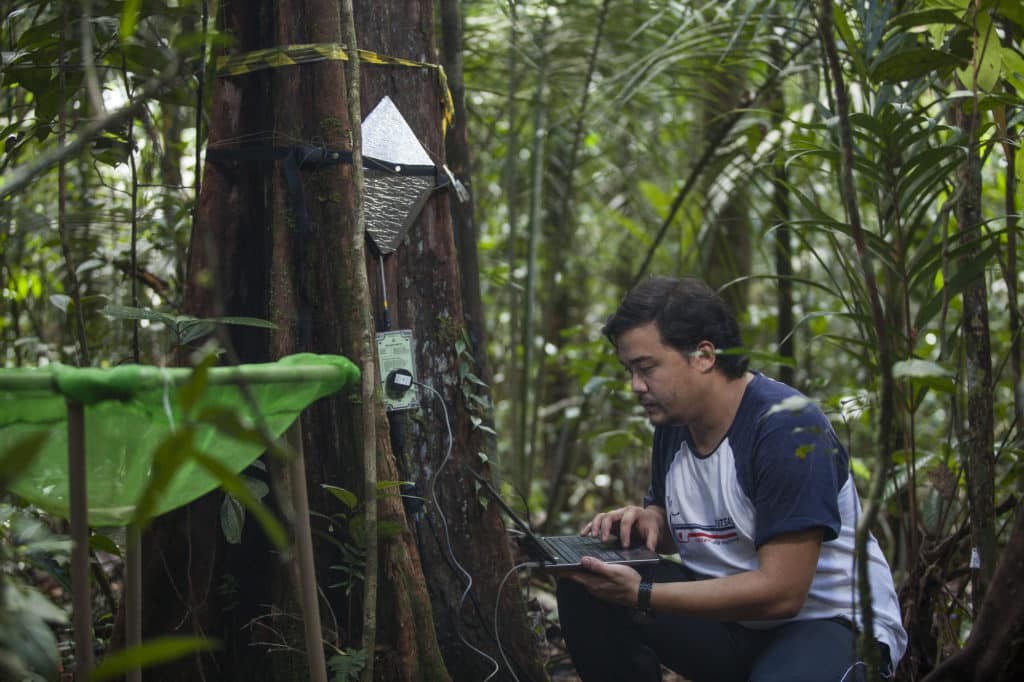 AmazonFACE Amazonia