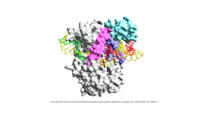 Detección coronavirus CSIC