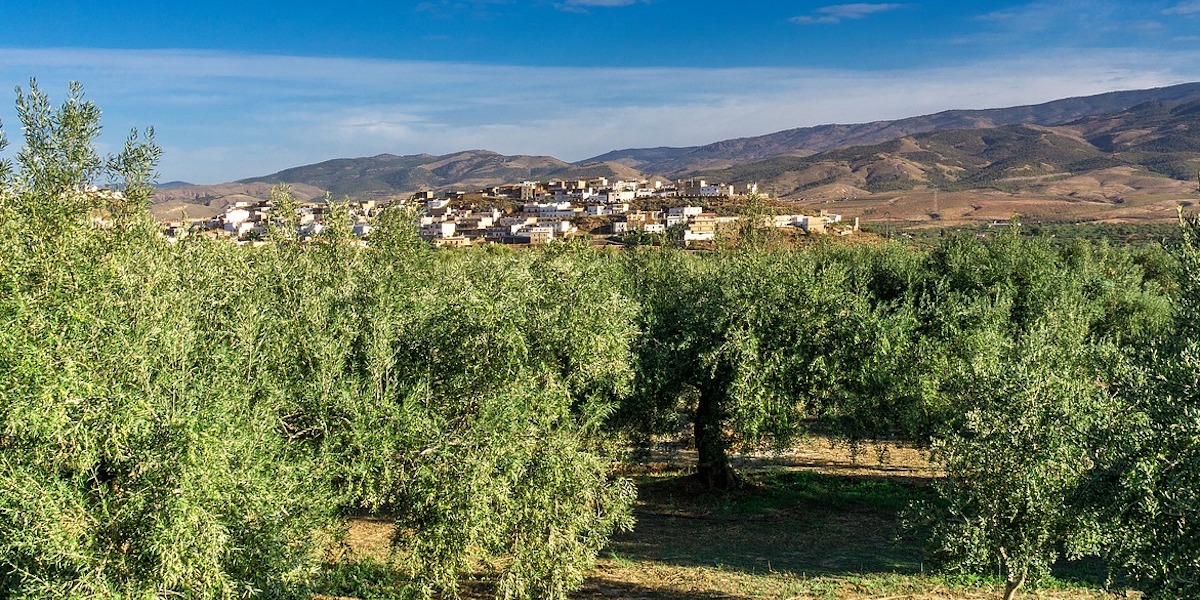 entornos rurales conectividad