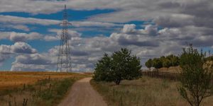 Machine learning para digitalizar la vegetación de las líneas eléctricas