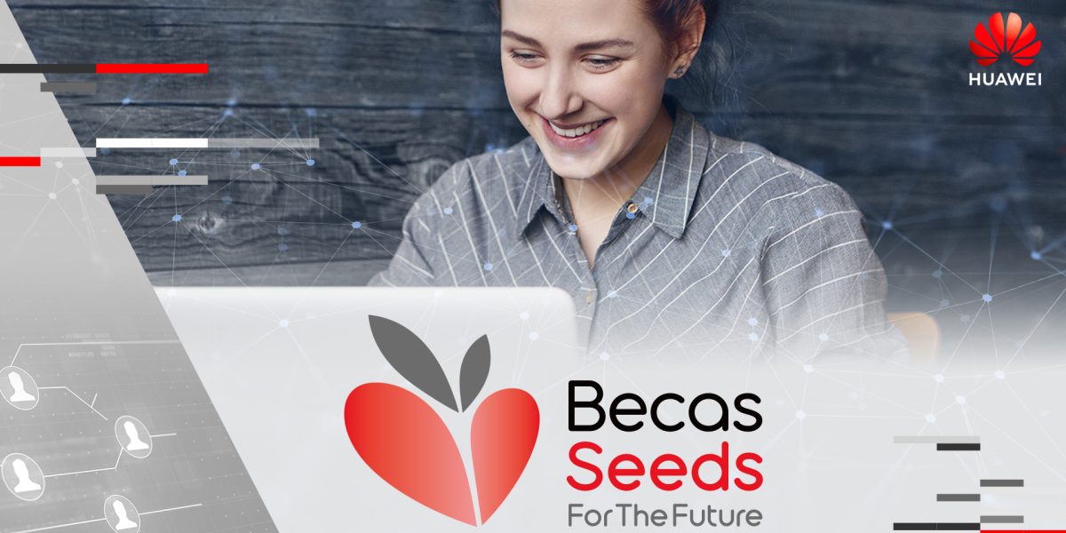 uawei becas Seed for the Future