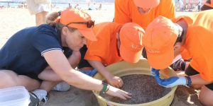 Theresa Zabell fundación ECOMAR mares circulares coca-cola