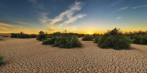 Cómo se sobrevive a una sequía con agricultura sostenible