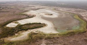 Santa Olalla, la laguna más grande de Doñana, se seca por segundo año consecutivo