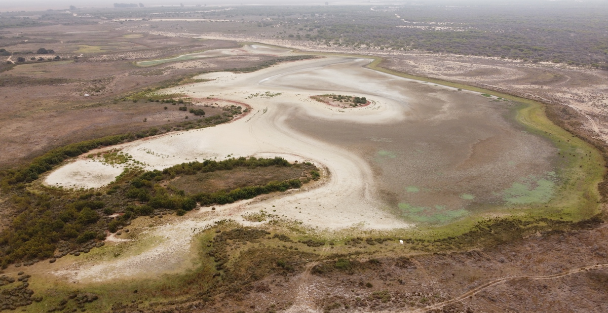 Imagen aérea de la Laguna de Santa Olalla tomada el 9 de agosto de 2023. Imagen: Carlos Ruiz-CSIC.