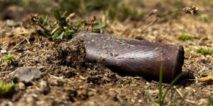 Cartuchos biodegradables para cazadores verdes