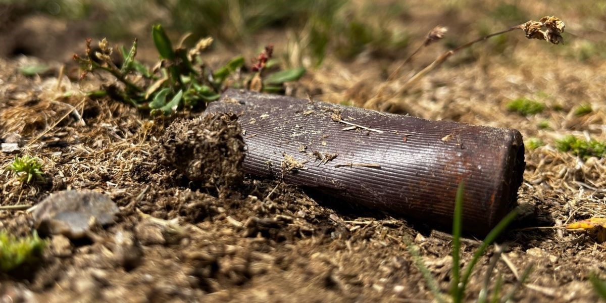 bioammo cartuchos