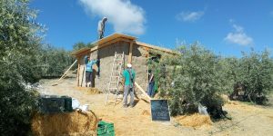 HabitaBio: bioarquitectura para transformar edificios convencionales en hogares ecológicos