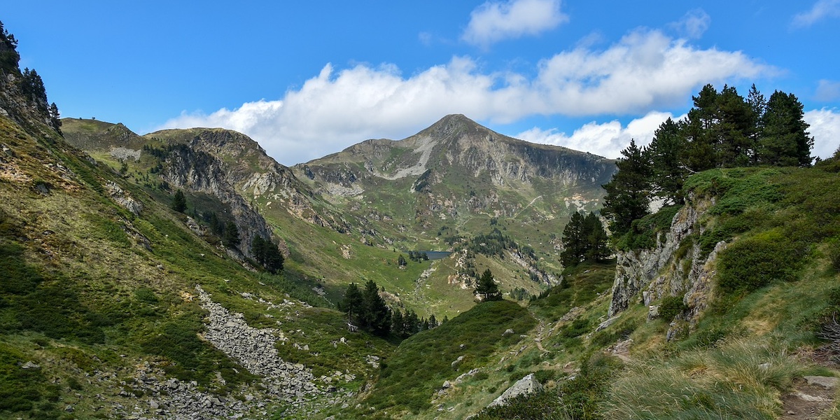 BioPirineo: bioeconomía forestal en la montaña aragonesa