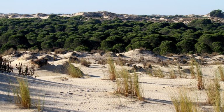 ley de restauracion de la naturaleza ley