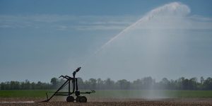 Smart Green Water: cómo ser más eficiente en el uso del agua de riego