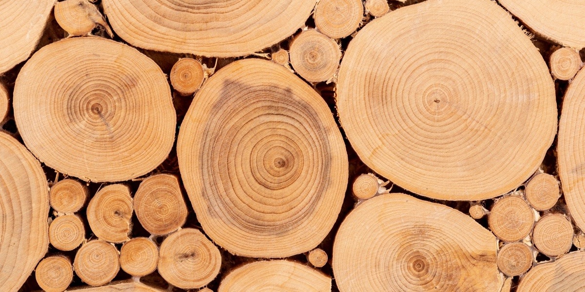 Wood4Plastic: ante los plásticos, más madera