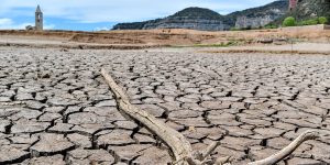 Informe Nexus: el «efecto mariposa» o cómo afectará el cambio climático al planeta