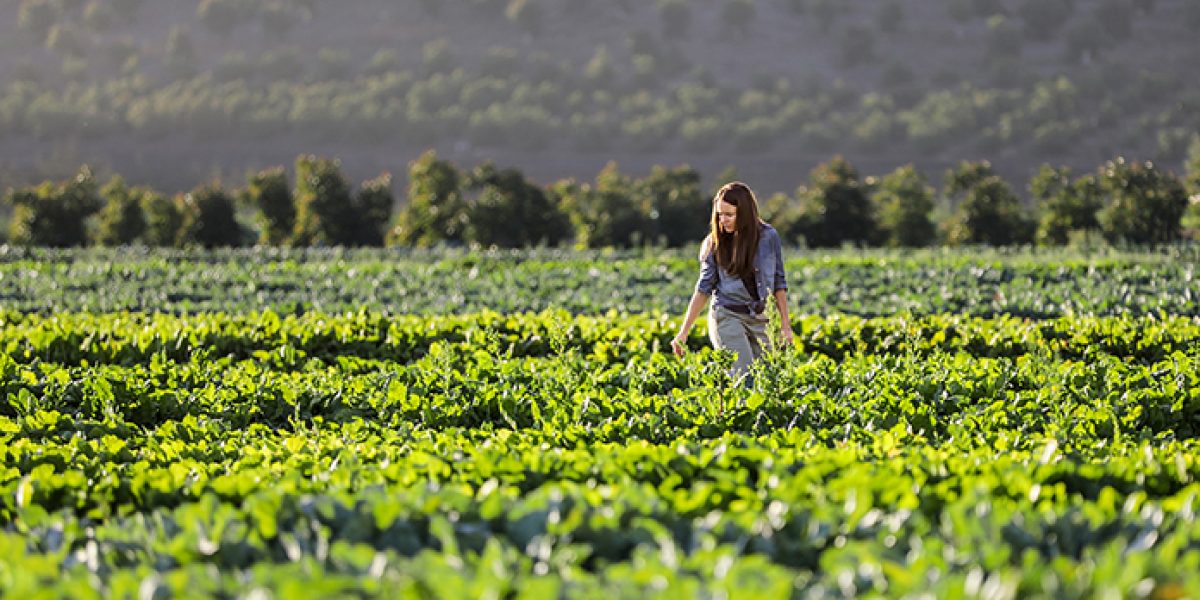 Ibercaja agricultura inteligente