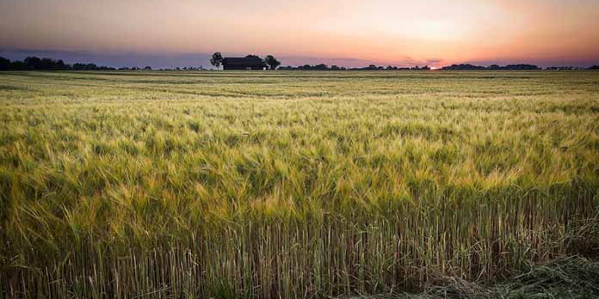 Samara Rural