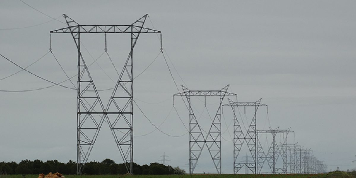 Red Eléctrica Plan de Acción de Biodiversidad